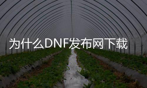 为什么DNF发布网下载完是乱码（dnf下载器为什么会崩溃）