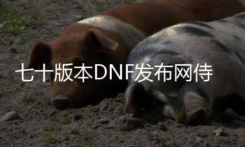 七十版本DNF发布网侍魂反坦克（dnf70版本侍魂次元武器）