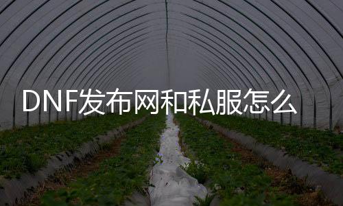 DNF发布网和私服怎么分开放