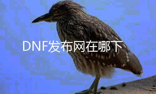 DNF发布网在哪下