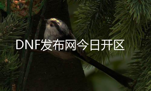 DNF发布网今日开区