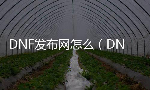 DNF发布网怎么（DNF发布网官网首页）