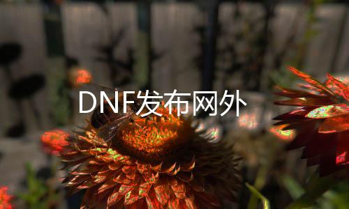 DNF发布网外