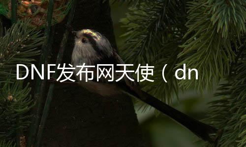 DNF发布网天使（dnf天使套多少钱）