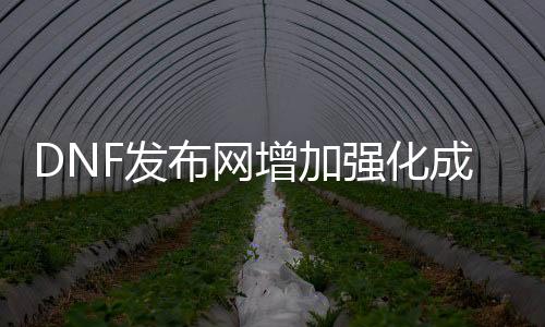 DNF发布网增加强化成功率辅助（dnf增加强化几率）