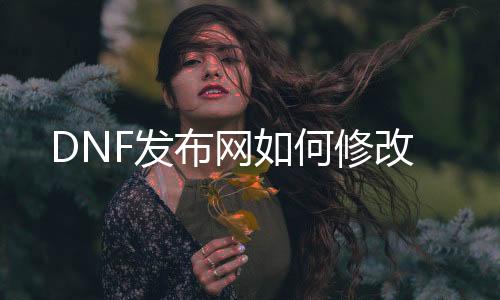 DNF发布网如何修改