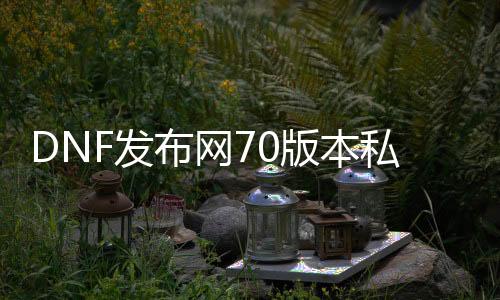 DNF发布网70版本私服大枪（70版本大枪装备）