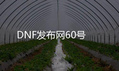 DNF发布网60号