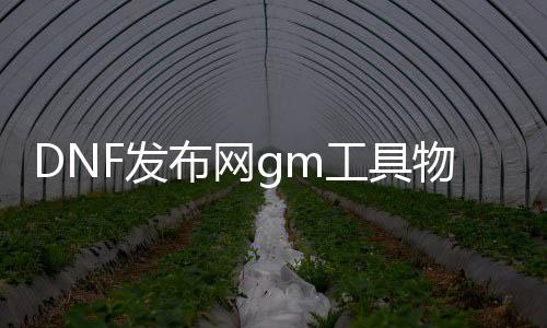 DNF发布网gm工具物品修改（DNF发布网装备修改器）