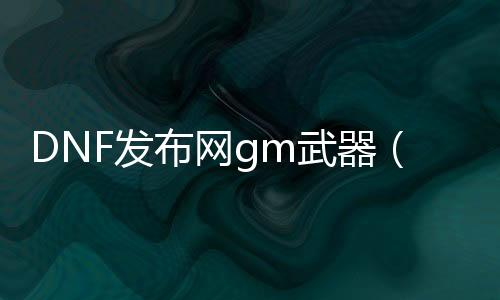 DNF发布网gm武器（DNF发布网里面的gm）