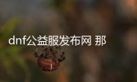 dnf公益服发布网 那个比较好（dnf公益服发布网·1发布网）