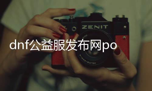 dnf公益服发布网pop（dnf公益服发布网平台）