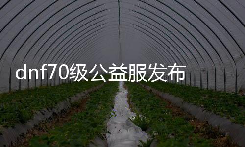 dnf70级公益服发布网游戏发展史（dnf70公益服发布网网站）