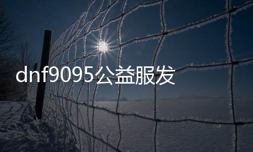 dnf9095公益服发布网怎么玩,最新公益服发布网开服时间表